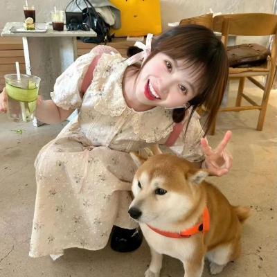 美人鱼的夏天