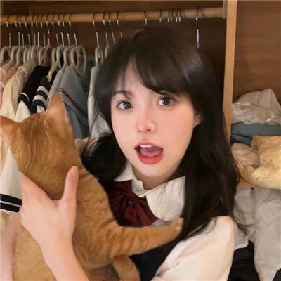 野餐会
