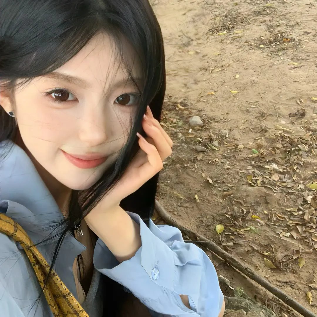 驯龙高手3